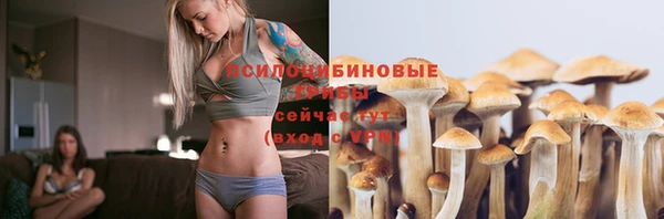 PSILOCYBIN Алзамай