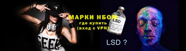 PSILOCYBIN Алзамай