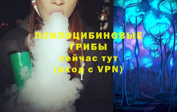PSILOCYBIN Алзамай