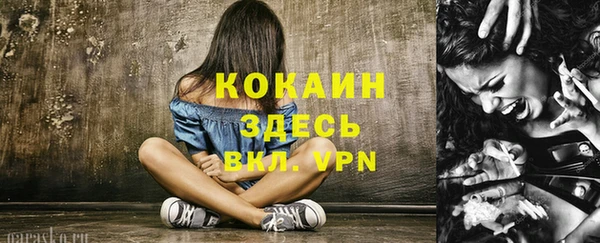 сатива Пересвет